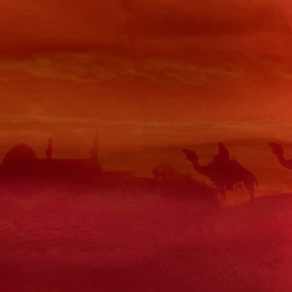 Holt Renfrew Brand Women's Head Scarf! - Picture 5 of 5